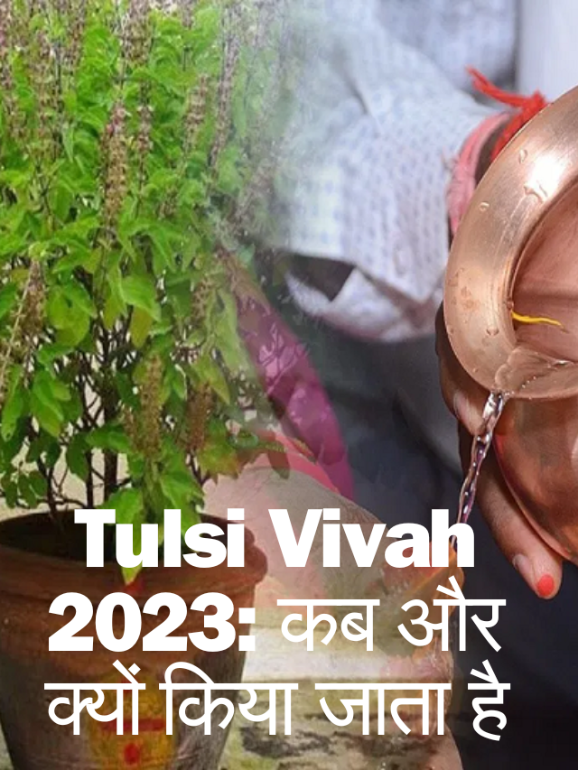 Tulsi Vivah 2023: कब और क्यों किया जाता है शालिग्राम-तुलसी विवाह? जानें विवाह की विधि, तिथि, मुहूर्त एवं इसकी पौराणिक कथा!
